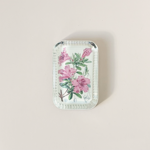Dotted Edge Paperweight, Azalea Crispiflora