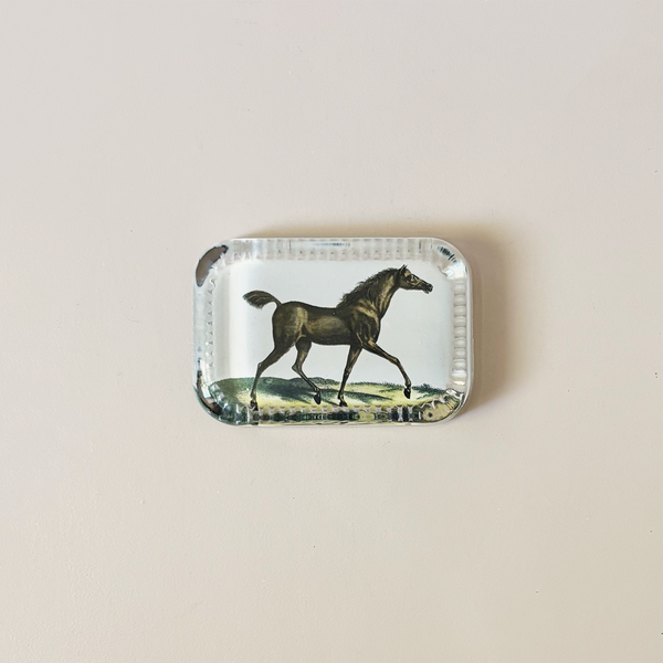 Dotted Edge Paperweight, English Race Horse