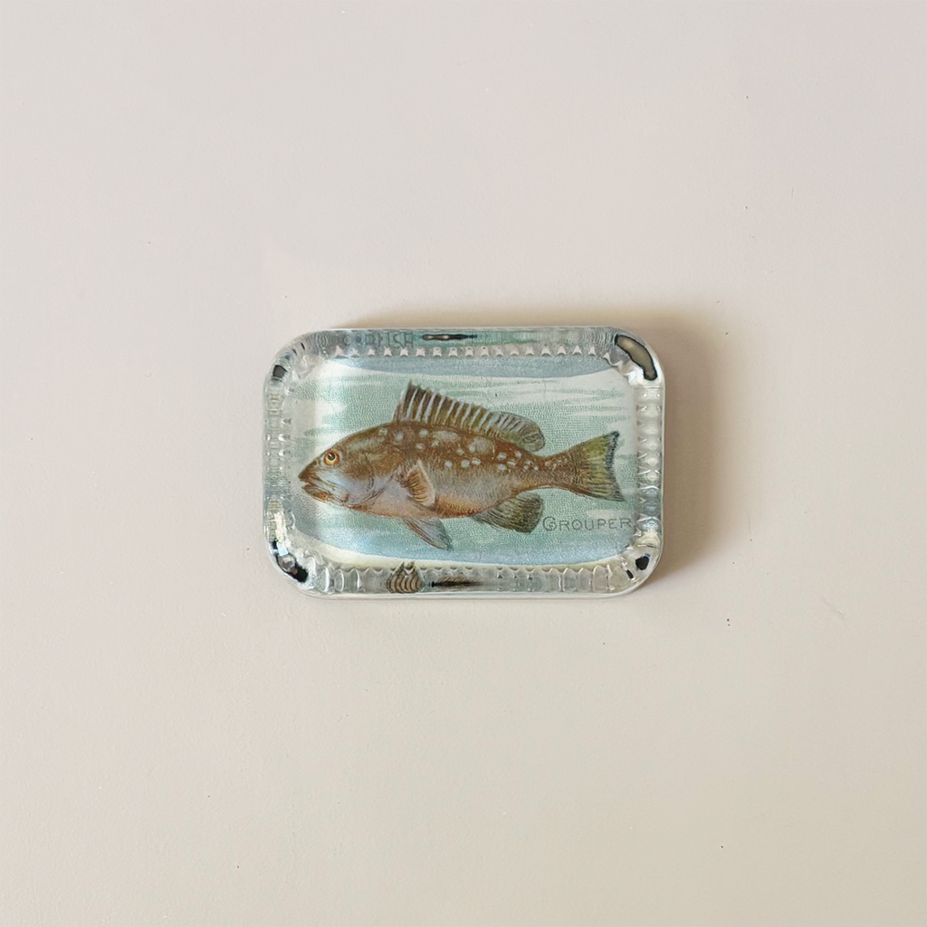 Dotted Edge Paperweight, Grouper