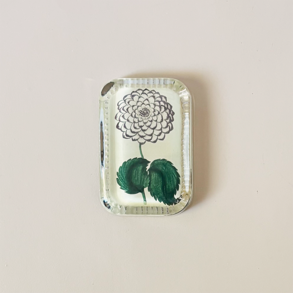 Dotted Edge Paperweight, Levicks Beauty