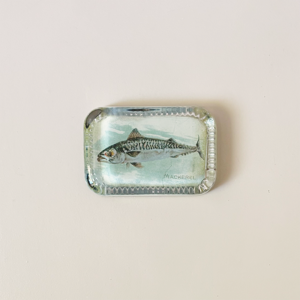 Dotted Edge Paperweight, Mackerel