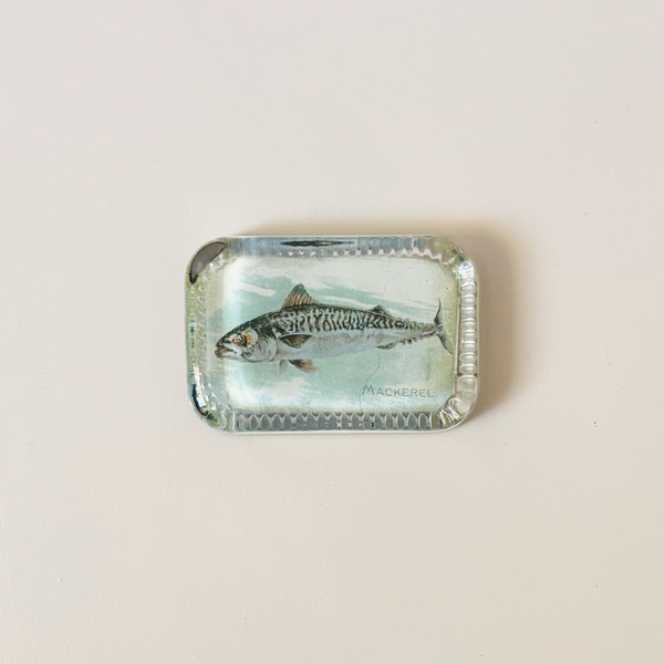 Dotted Edge Paperweight, Mackerel