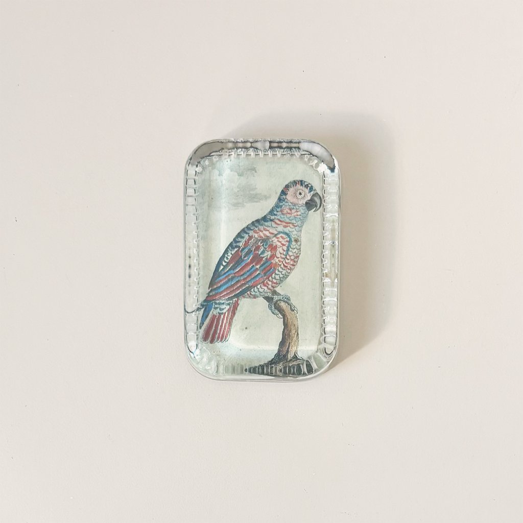Dotted Edge Paperweight, Parrot #9
