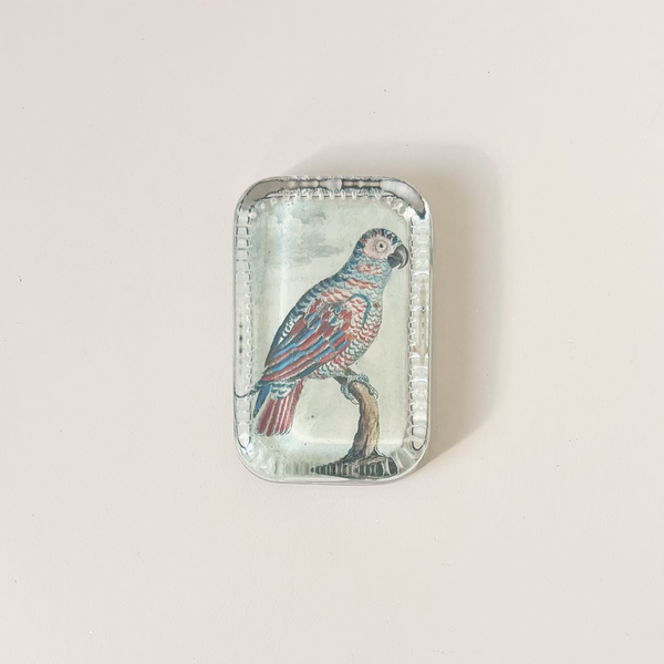 Dotted Edge Paperweight, Parrot #9