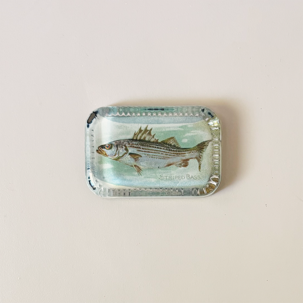 Dotted Edge Paperweight, Striped Bass