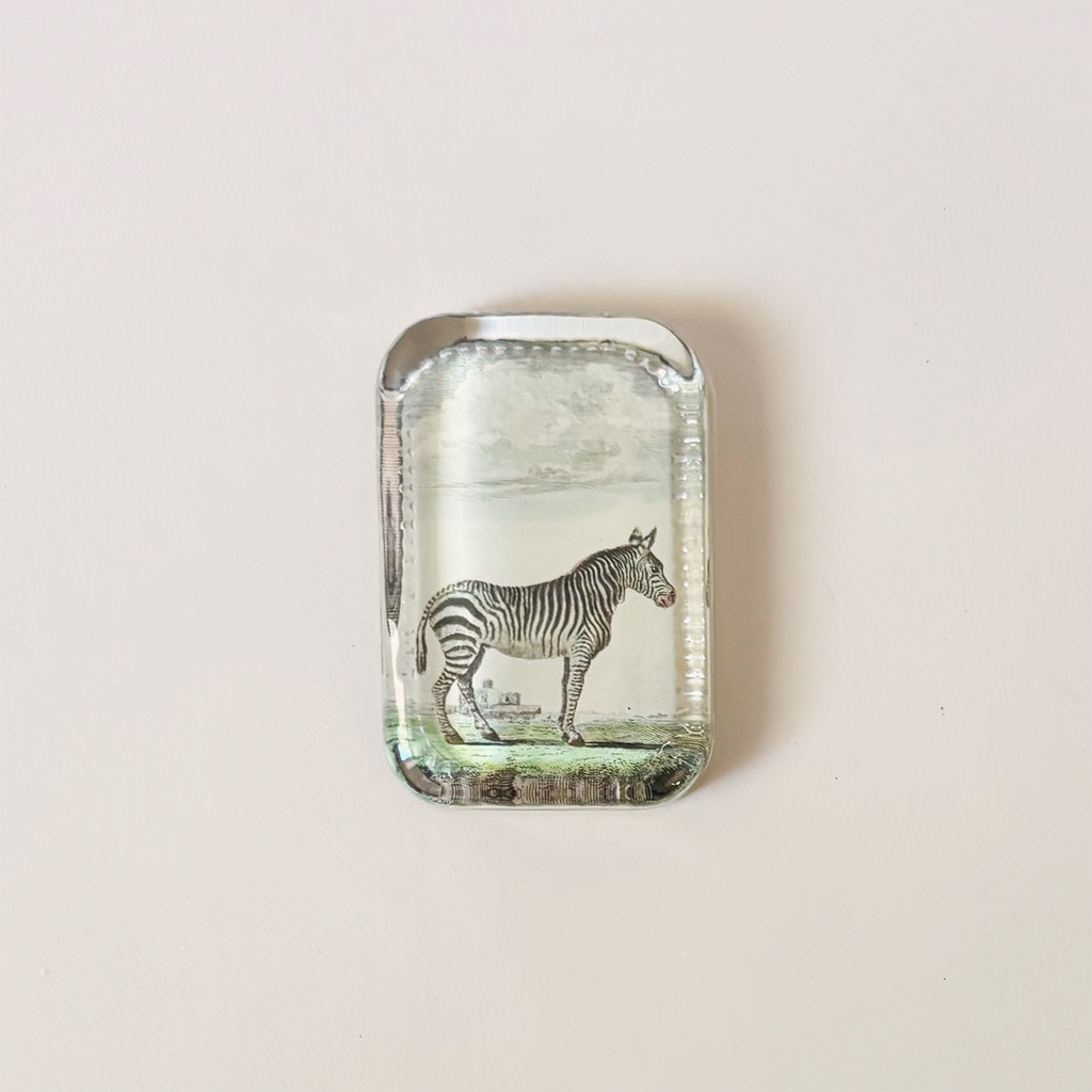 Dotted Edge Paperweight, Zebra Pl. 239