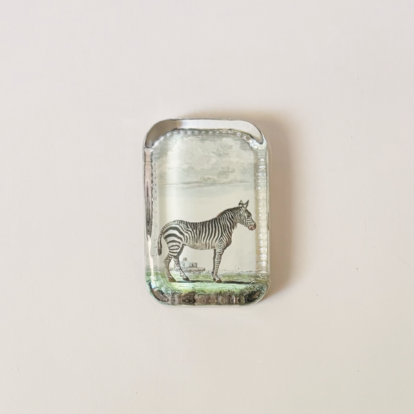 Dotted Edge Paperweight, Zebra Pl. 239