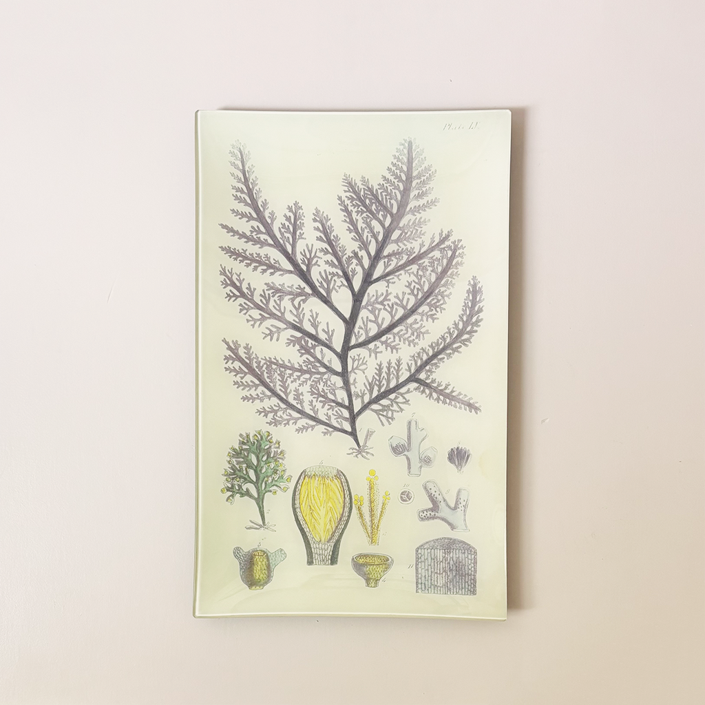 10" x 16" Rectangle Dish, Purple Seaweed