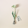 Tole Tulip