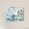 Little Robin's Book of the Birds