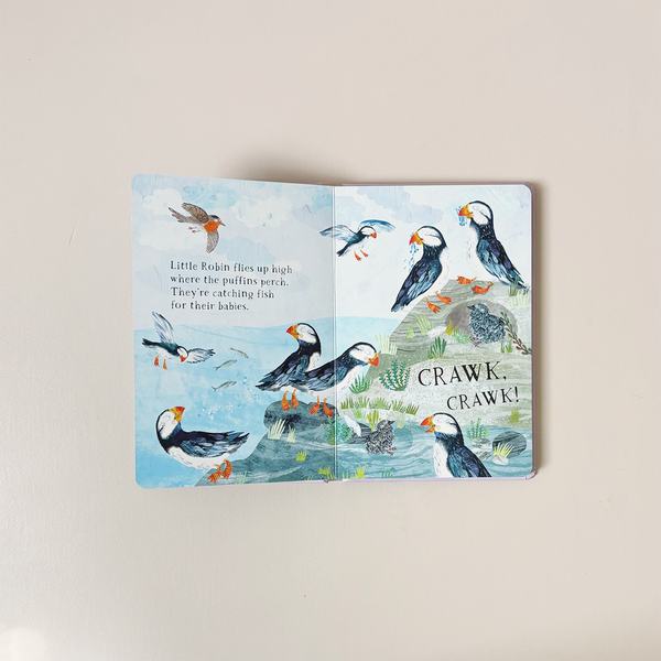Little Robin's Book of the Birds