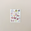 Happy Birthday Seashells Note Card