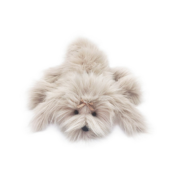 Schannel Shih Tzu