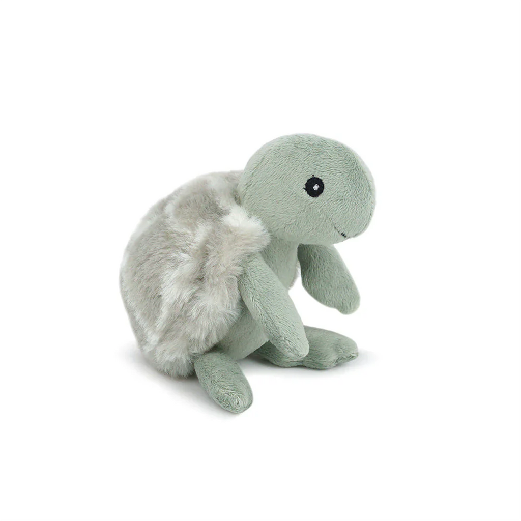 Taylor Turtle Plush Rattle