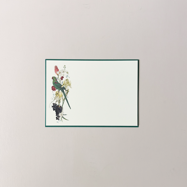 Parakeet Note Card Set