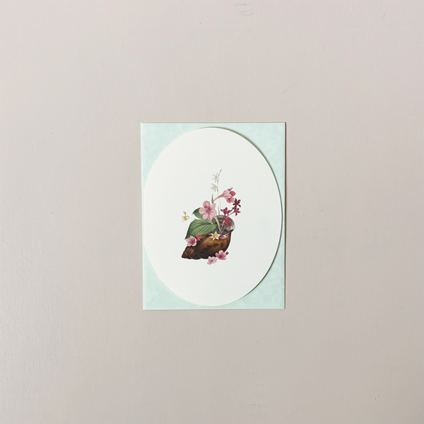 Shell Kingdom 2 Note Card