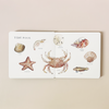 Our Big Book of Animals