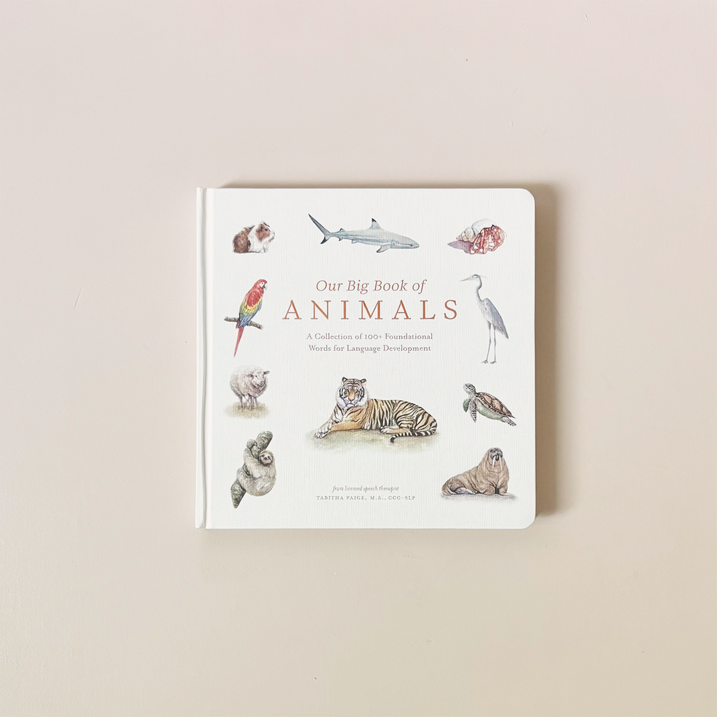 Our Big Book of Animals