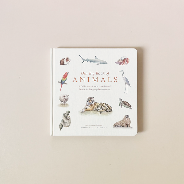 Our Big Book of Animals