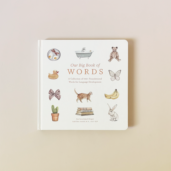 Our Big Book of First Words