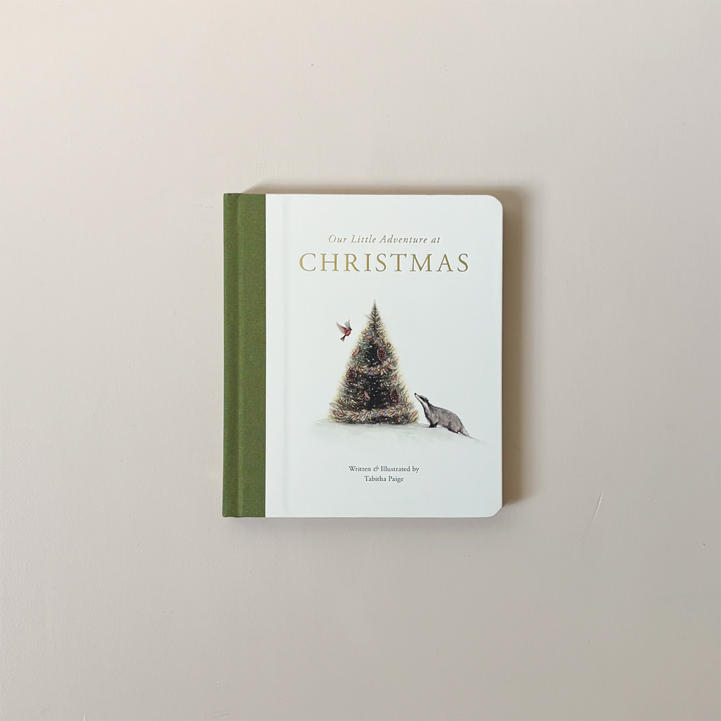 Our Little Adventure at Christmas