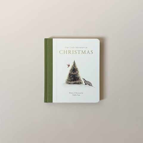 Our Little Adventure at Christmas