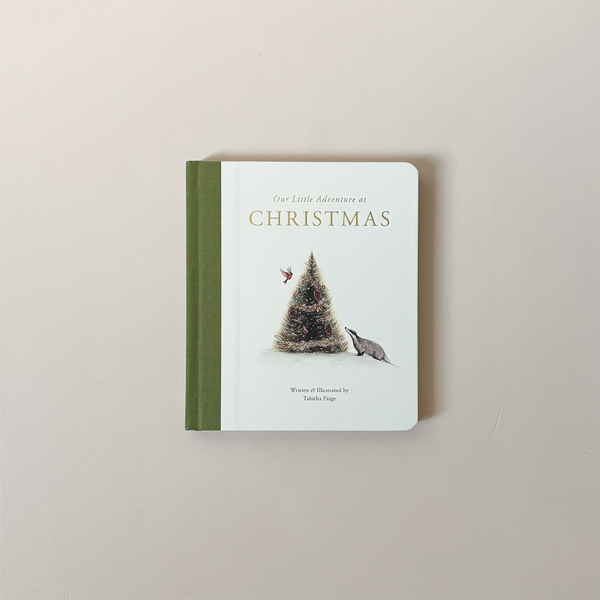 Our Little Adventure at Christmas