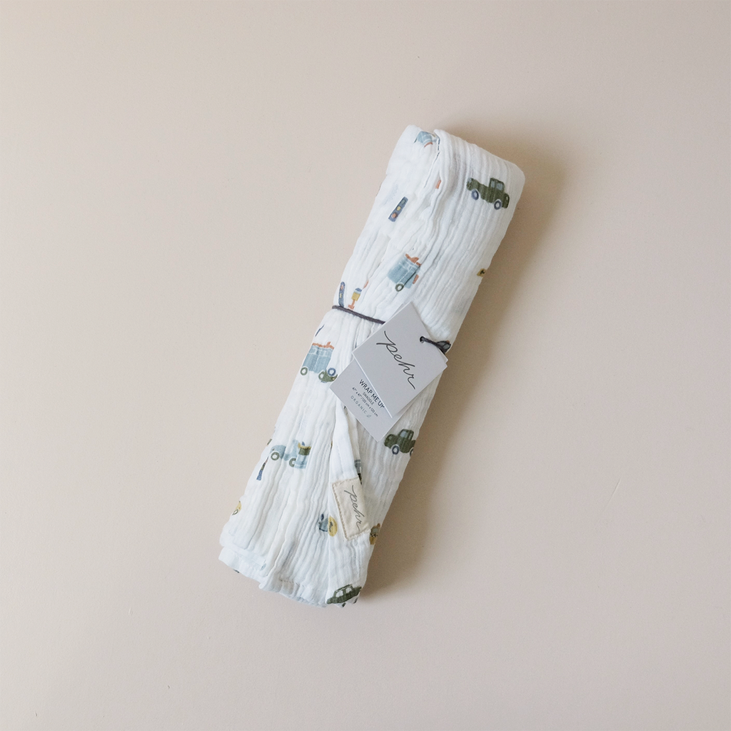 Swaddle Rush Hour