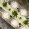 Braided Raffia Placemat Set/4