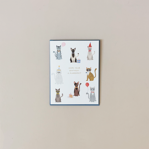 Party Cats Note Card