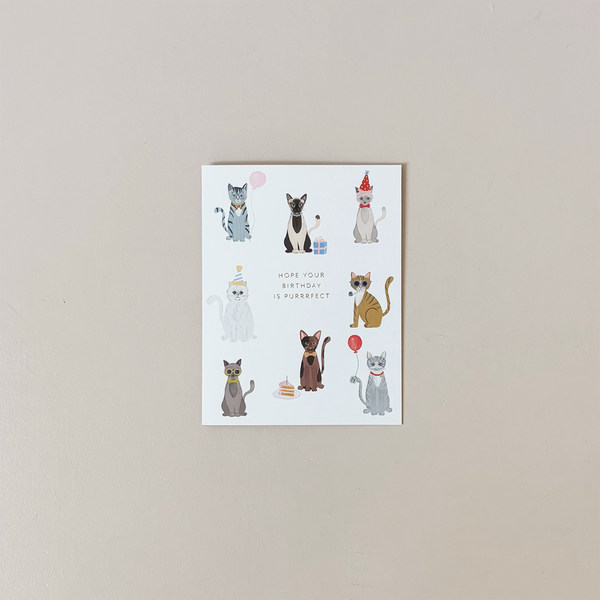 Party Cats Note Card