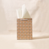 Coneflower Cutie Gift Bag