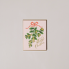 Mistletoe Christmas Note Card