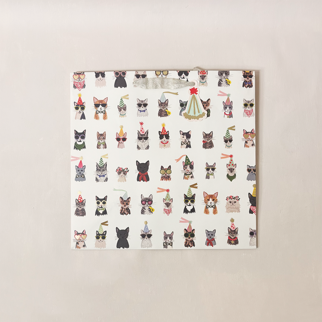 Party Cats Gift Bag Large