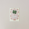 Good Luck Clover Note Card