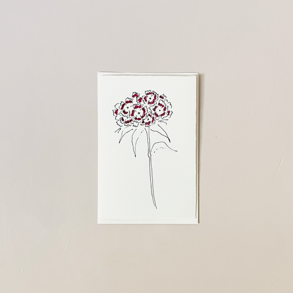 Sweet William Note Card
