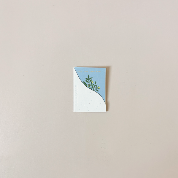 Stinker Birthday Mini Note Card