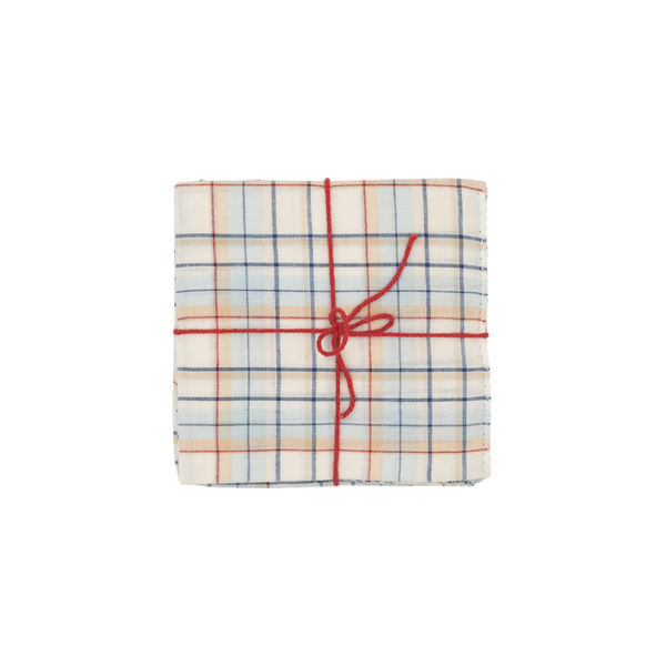 Ana Denim Napkin Set/4