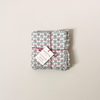 Dill Frosty Napkin Set/4