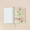 The Collage Compendium