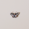 False Apollo Butterfly Embroidered Pin