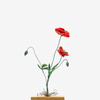Field Poppy Embroidered Art Object
