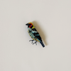 Flame Faced Tanager Embroidered Pin