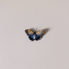 Giant Owl Butterfly Embroidered Pin