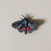 Hubbard's Small Silk Moth Embroidered Pin