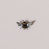 Humble Bee Embroidered Pin