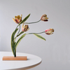 Rembrandt Tulip Embroidered Art Object