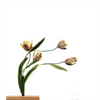 Rembrandt Tulip Embroidered Art Object