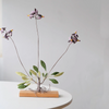 Shooting Star Flower Embroidered Art Object