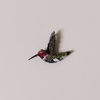 Sparkling Hummingbird Embroidered Pin